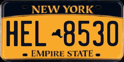 NY license plate HEL8530