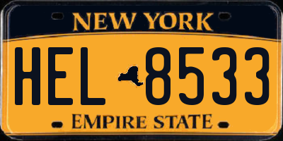 NY license plate HEL8533