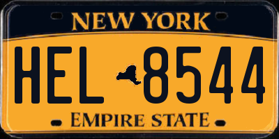 NY license plate HEL8544