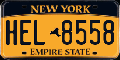 NY license plate HEL8558