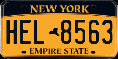NY license plate HEL8563