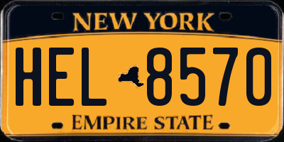 NY license plate HEL8570