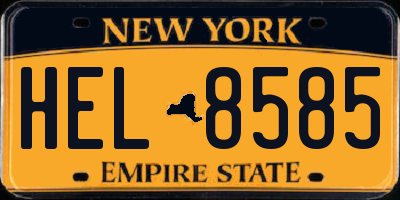 NY license plate HEL8585