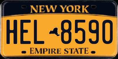 NY license plate HEL8590
