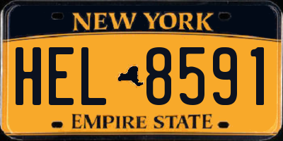NY license plate HEL8591