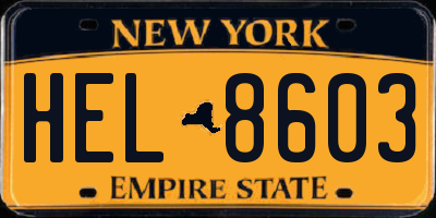 NY license plate HEL8603