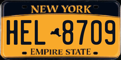 NY license plate HEL8709
