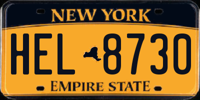 NY license plate HEL8730