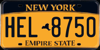 NY license plate HEL8750