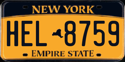 NY license plate HEL8759