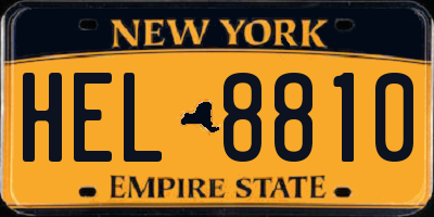 NY license plate HEL8810
