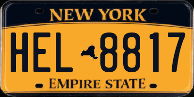 NY license plate HEL8817