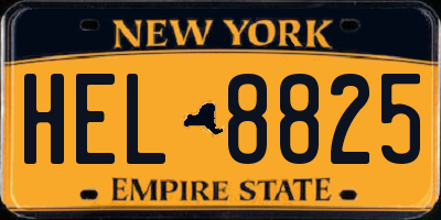 NY license plate HEL8825