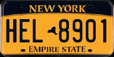 NY license plate HEL8901