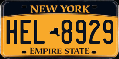 NY license plate HEL8929