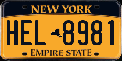 NY license plate HEL8981