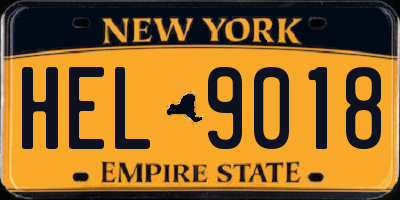 NY license plate HEL9018