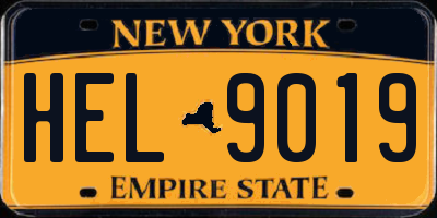 NY license plate HEL9019