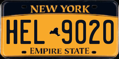NY license plate HEL9020