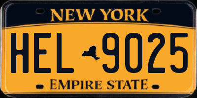 NY license plate HEL9025