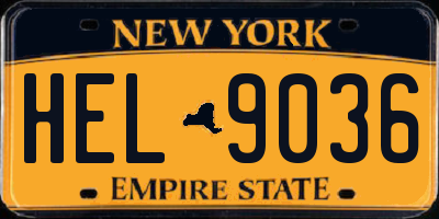 NY license plate HEL9036
