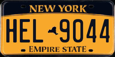 NY license plate HEL9044