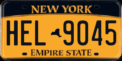 NY license plate HEL9045