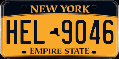NY license plate HEL9046