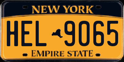 NY license plate HEL9065