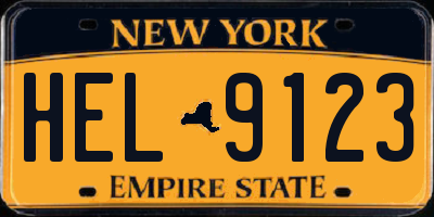 NY license plate HEL9123