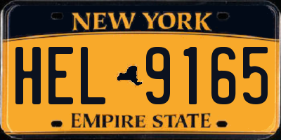 NY license plate HEL9165