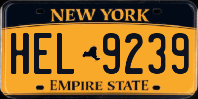 NY license plate HEL9239