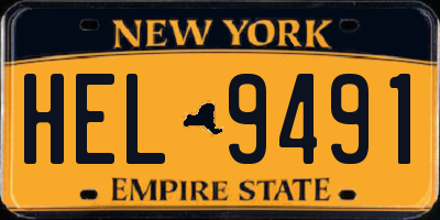 NY license plate HEL9491