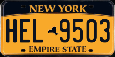 NY license plate HEL9503