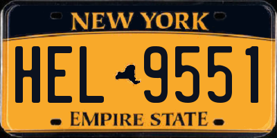 NY license plate HEL9551
