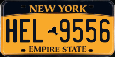 NY license plate HEL9556