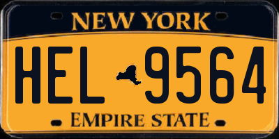 NY license plate HEL9564