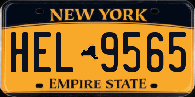 NY license plate HEL9565