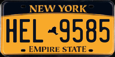 NY license plate HEL9585
