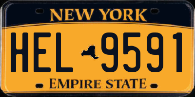 NY license plate HEL9591