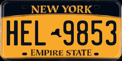 NY license plate HEL9853