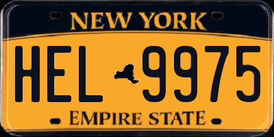 NY license plate HEL9975
