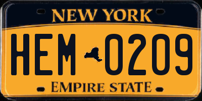 NY license plate HEM0209
