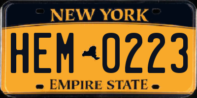 NY license plate HEM0223