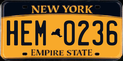 NY license plate HEM0236
