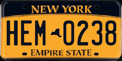 NY license plate HEM0238