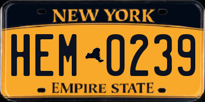 NY license plate HEM0239