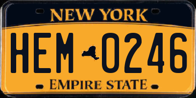 NY license plate HEM0246