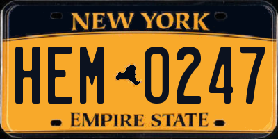 NY license plate HEM0247