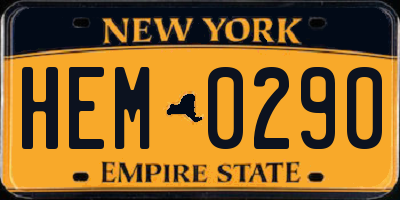 NY license plate HEM0290